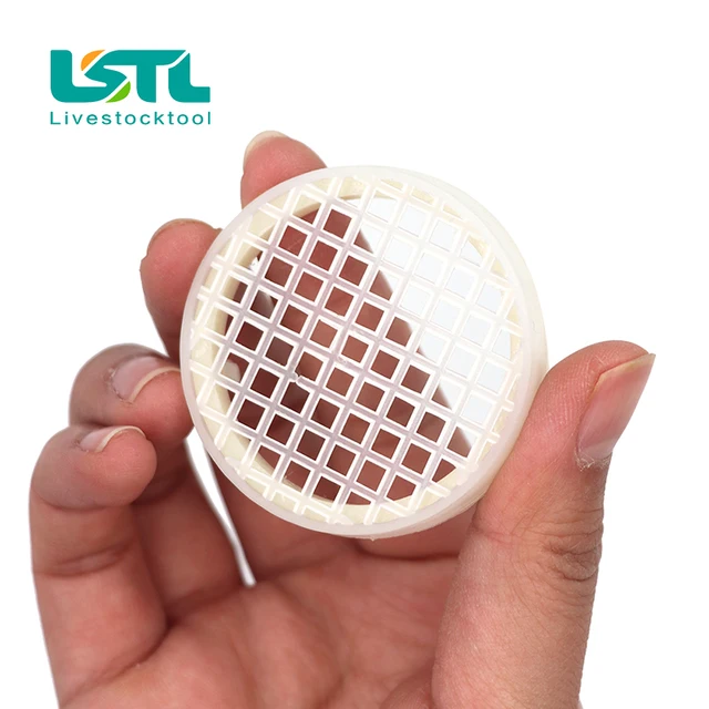 5Db Méh Ketrec Kerek Queen Tenyésztő Rendszer Műanyag Király Ketrecek