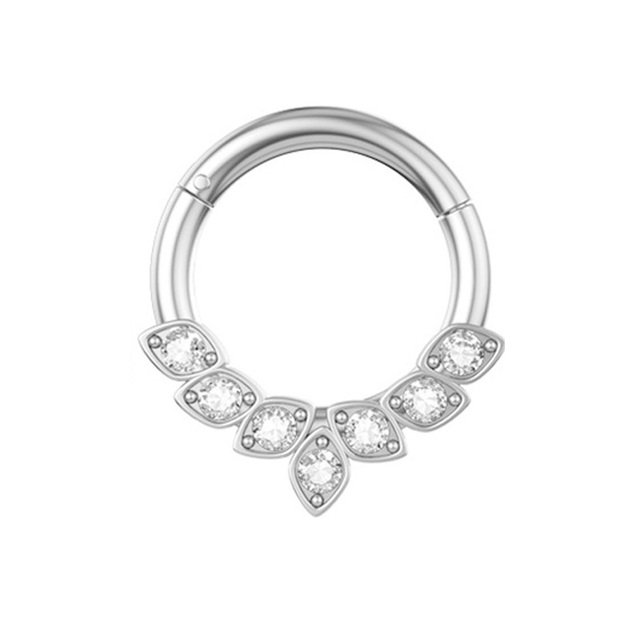 Nose Ring Hoop Septum Piercing Hinged Segment Clicker Surgical Steel Ear Cartilage Earrings Tragus Helix Daith Body Jewelry