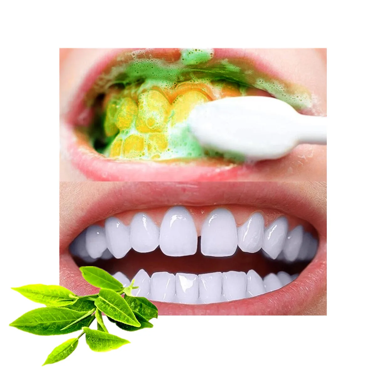 

SowSmile Green Tea Dental Care Oral Hygiene Whitening Tooth Remove Smoke Stains Coffee Tea Freshen Dad Breath Powder