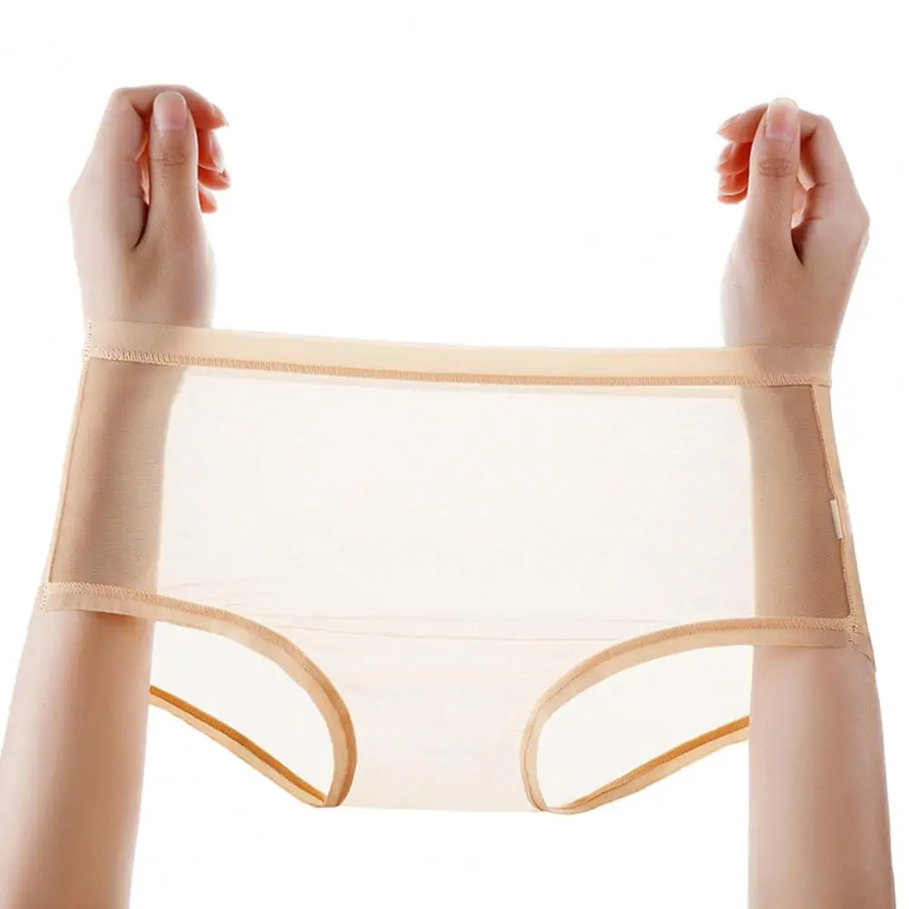 Sexy Transparent Panties for Women See Through Mesh Sheer Underwear Seamless Mid Rise Thin Briefs