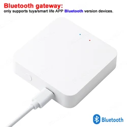 Smart Home Gateway Hub - Bluetooth & WiFi Enabled with App and Voice Assistant Integration (Bluetooth gateway)