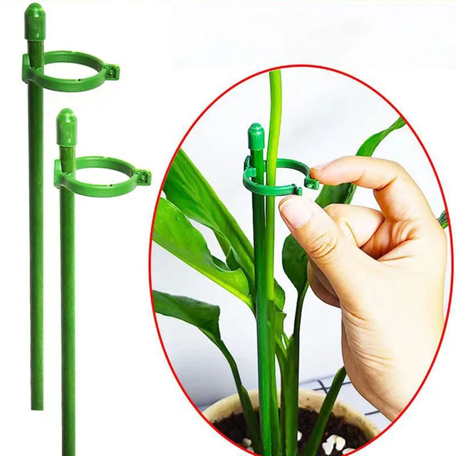 Kerti Növény Cserepes Támogató Virágállvány Tartó Tétes Állvány Rögzítő Szerszám Kertészeti Készletek Szár Cserje Orchidea Bonsai -Hoz - Image 6
