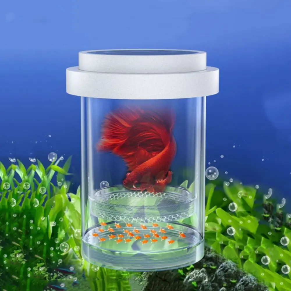 Scatola Da Cova Galleggiante In Plastica Incubatrice Da Cova Per Acquario Mangiatoia Per Allevatori Di Acquari Bianchi Scatola Da Allevamento Guppy A 