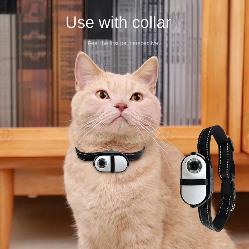 Pet Collar Camera 120 Deg Lens 16G Connection Video Recording Adjustable Magnetic Cat Sport Camera for Outdoor Dog Collar