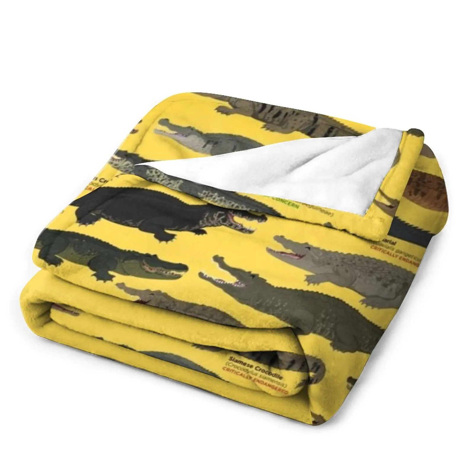 �Ǿ� ������ ���, ���� �̺�, ħ��� ���� �β��� ���