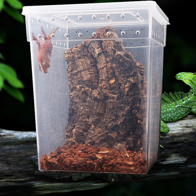 Pets Reptile Feeding Box Tarantula Enclosure Turtle Tank Aquarium Lizard Container Animals Habitat Cage For Frog Spider Gecko 3