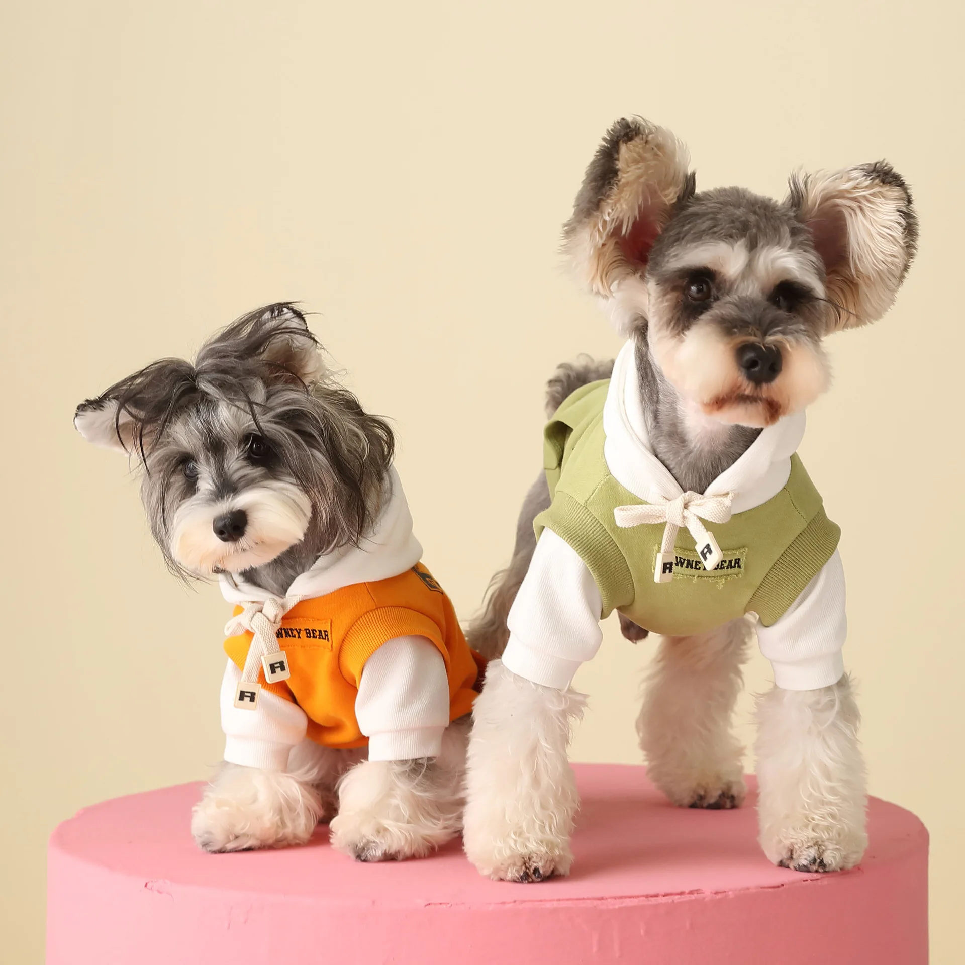 

Little Dog Sweater Autumn and Winter Vacation Two Pieces of Contrast Sweater Malzis Yorkshire Teddy Bears Schnauzer Clothes