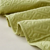 Housse de matelas matelassée épaisse, protection de lit en pur coton, antibactérienne, Double, Queen, King Size, personnalisée 3