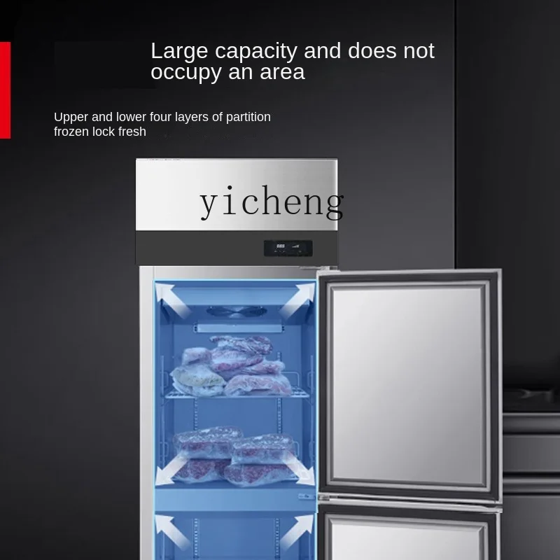 Tqh Air Cooling Frostless Two-Door Refrigerator Commercial Vertical Refrigerated Cabinet Freezer Cake Strip Freezer