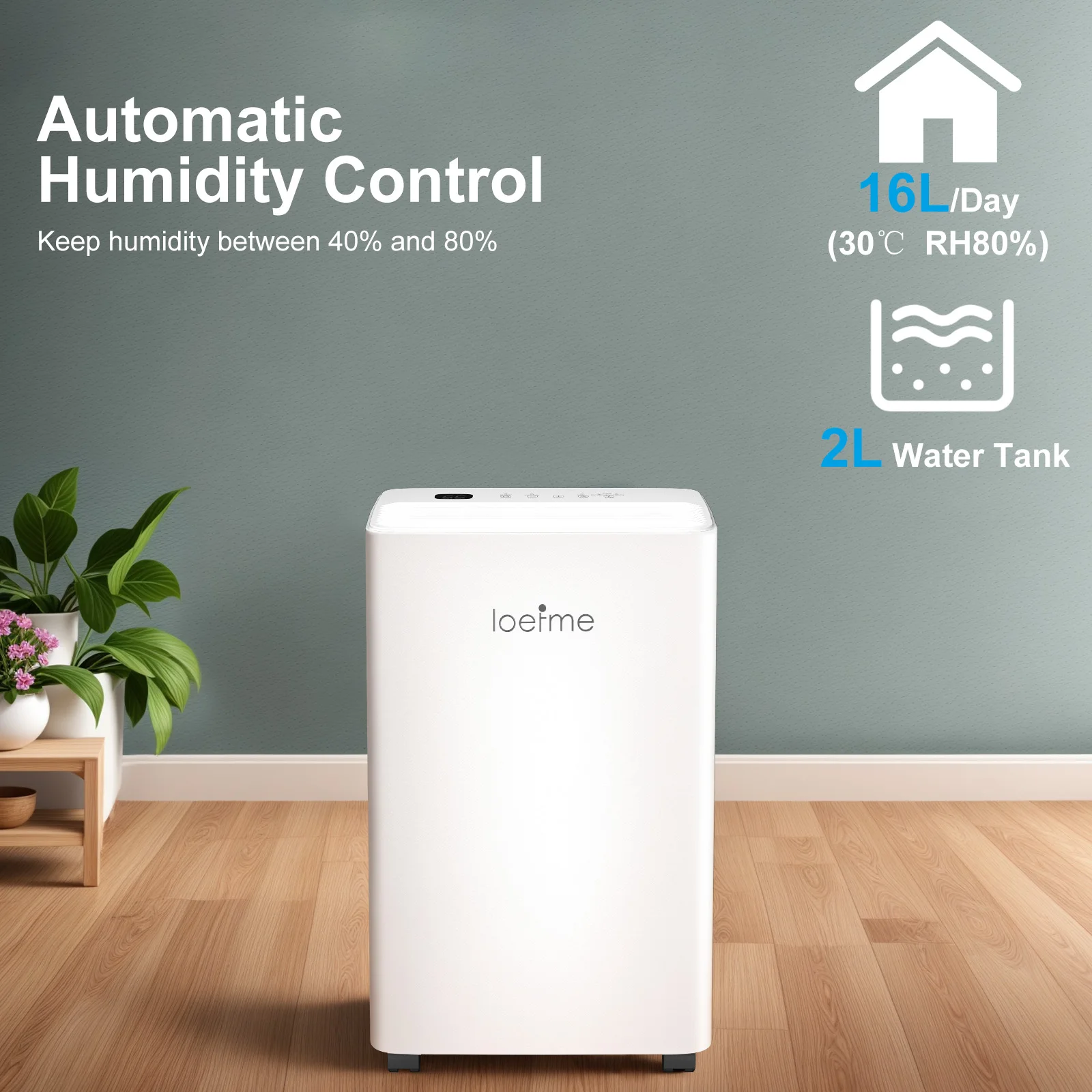 Déshumidificateur électrique LOEFME, 16 L/jour, déshumidificateur d'ambiance avec capteur d'humidité, pour 45 m3 (15 m2), économie d'énergie, tuyau de vidange de 3 m 2