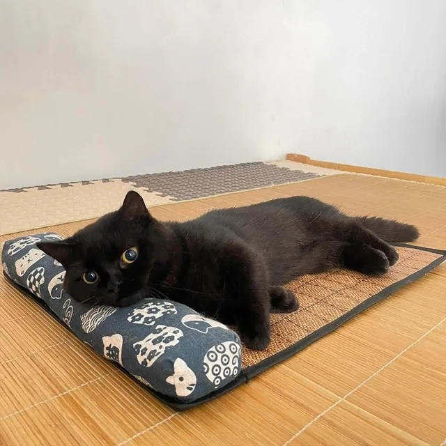 Safe Cute Print Pet Cooling Mats Washable Foldable Dog Cooling Mat Breathable with Pillow Pet Sleeping Pad Indoor Safe Cute Print Pet Cooling Mats Washable Foldable Dog Cooling Mat Breathable with Pillow Pet Sleeping Pad Indoor