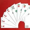 Mahjong Travel Set 146pcs/set Mahjong Playing Cards Thicken Large Print Handheld Poker Waterproof Chinese Mah Jongg American 3