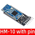 1PC-HM-10 with pin
