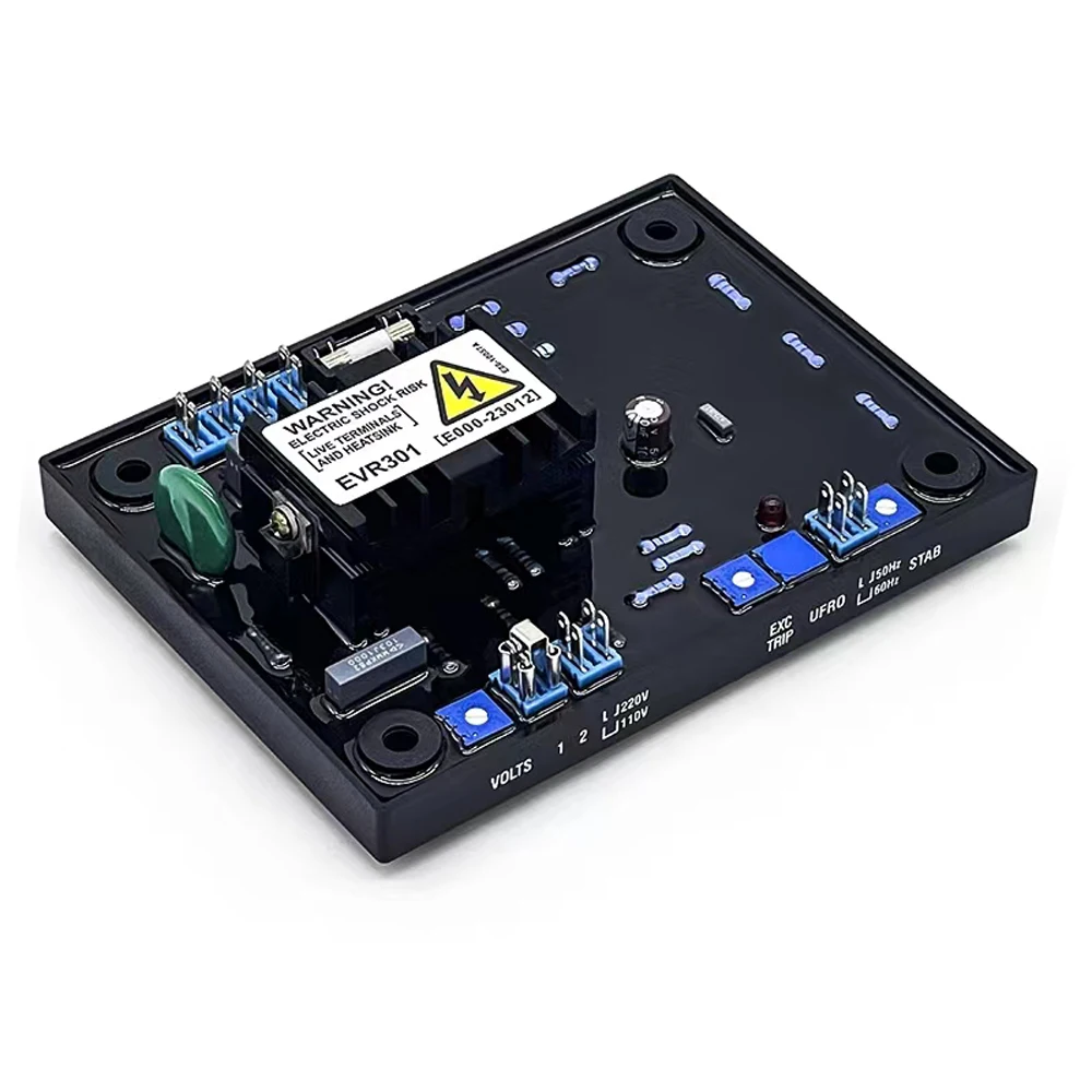 Chinese Factory !!! EVR301 AVR Diesel Brushless Generator Set Automatic