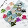 Small Hair Clips for Women - Colorful Geometric Crab Claw Clip Acetate Leopard Ponytail Girls Barrettes Hairpin Hair Accessories