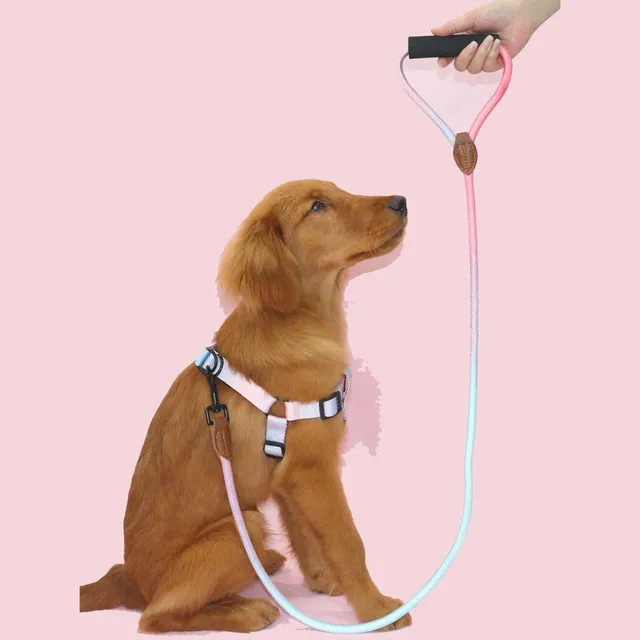 Pet dog leash, gradient color with comfortable padded handle, suitable for small and medium dogs outdoor use 2