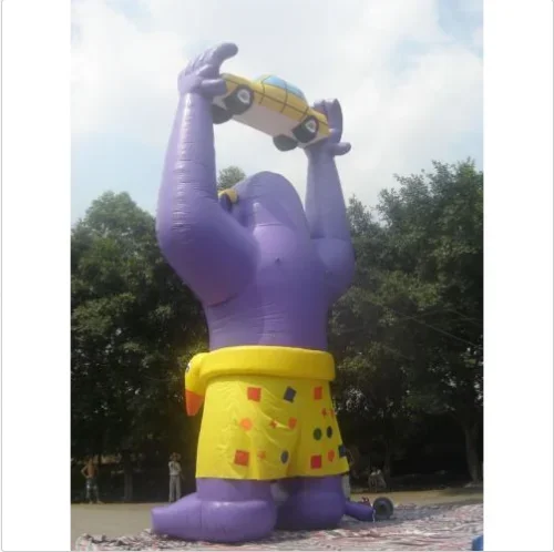 Рисунок 3 - 26ft(8M) рекламный гигантский надувной