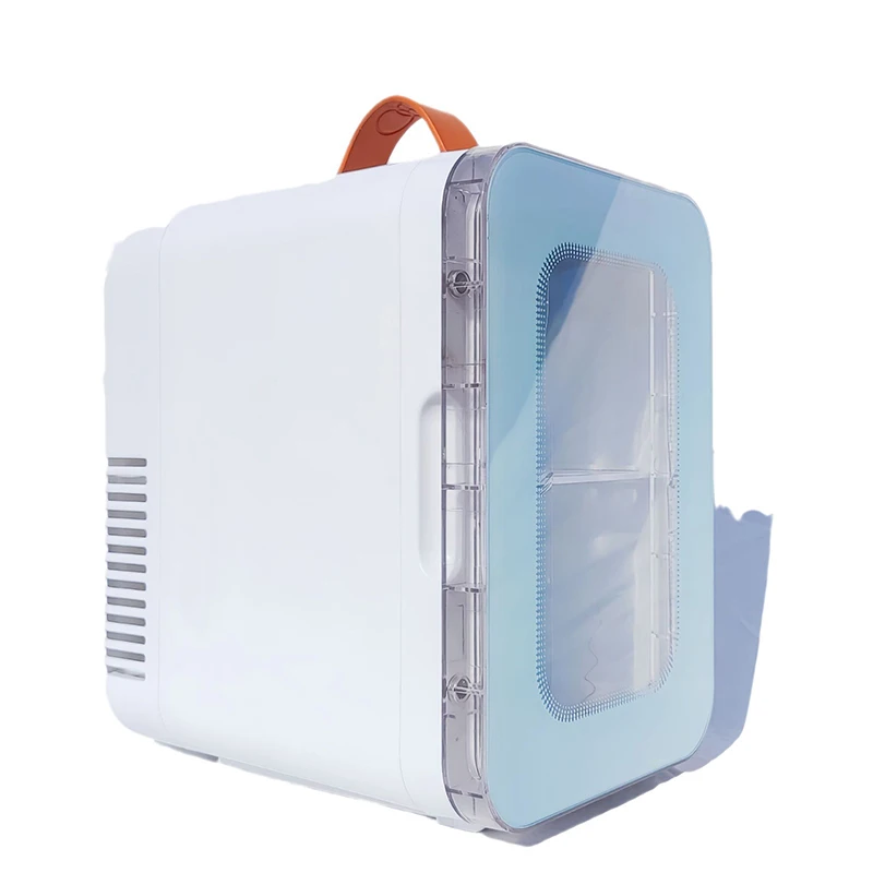 Home & Car Dual Refrigerator Mini Cosmetic Skincare Makeup Cooler Warmer Multifunctional Cooling Box 220V 110V 12V