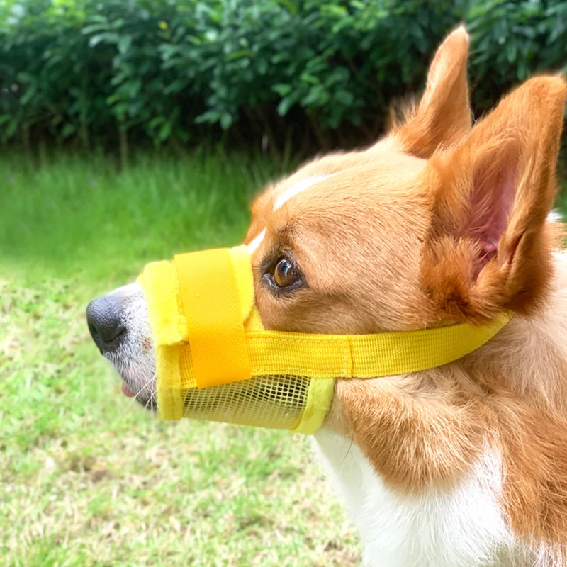 Nylon Dog Muzzle Breathable Mouth Muzzles Dogs Adjustable Mesh Anti Biting Chewing Pet Mouth Mask Pet Training Accessories