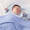 Doudou Blanket Newborn Gift Set Customized with Name  Breathable Cotton Toddler Cover Baby Shower Gifts 4-Season 2