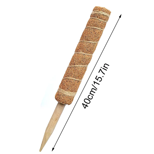40cm