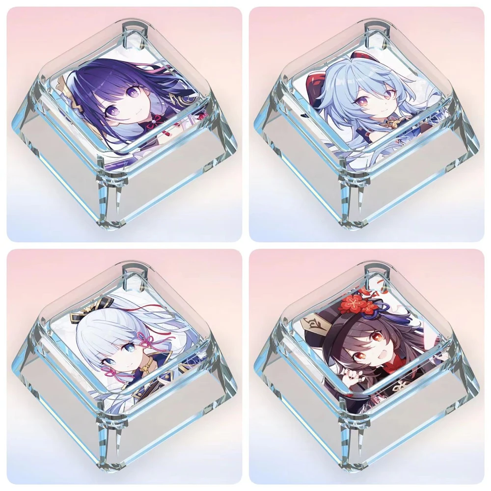 dsc-products