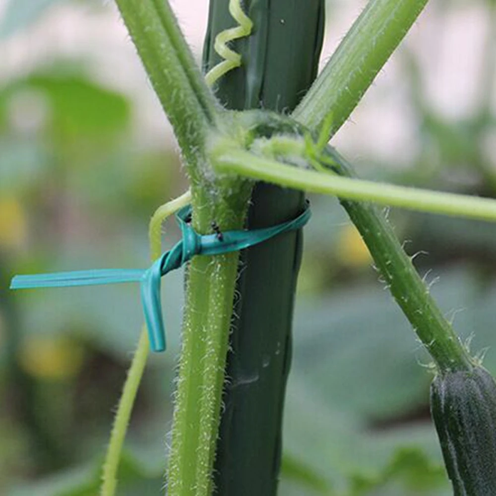 Gardening Vine Climbing Plants Cable Tie Lines 100pcs Plant Parts Flower Cucumber Grape Rattan Supports