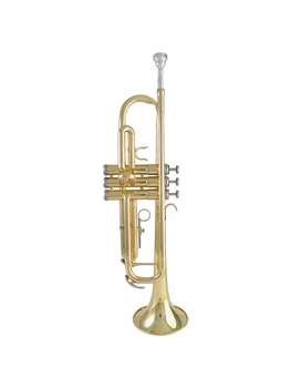 Trumpet Bb Key Beginner Graded Entry Performance Band Recommended