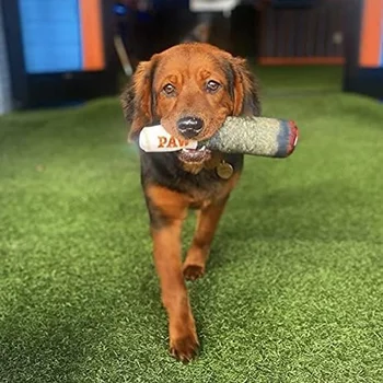 Cigar Dog Toy 4