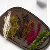 Height 10cm Simulation Long Leaves Reed Grass Model Diy Military Sand Table HO Railway Train Scene Layout Diorama Kits 6