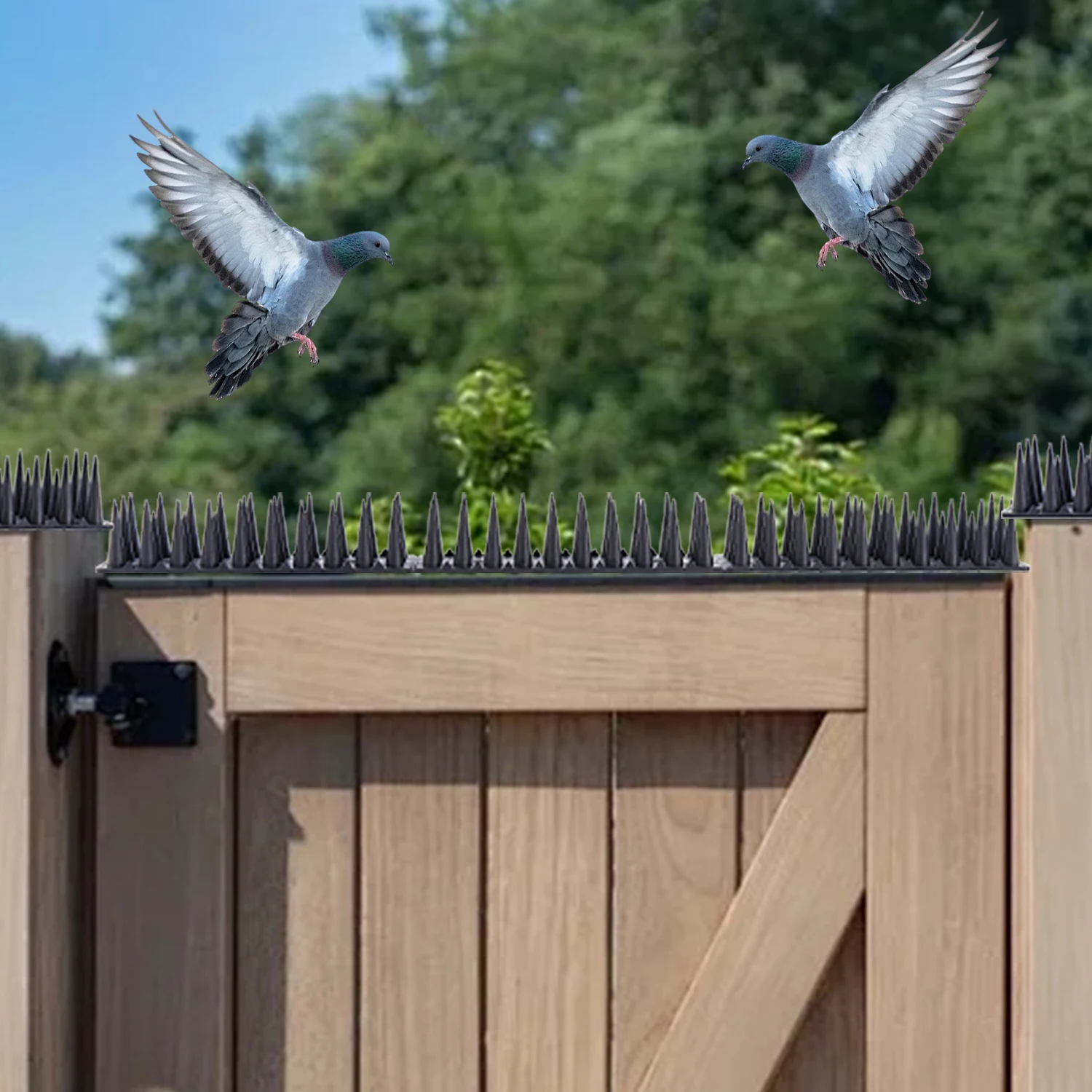 Eco-Friendly Bird Deterrent Plastic Spikes - Pack of 10