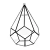 Five-sided Rhombus Glass Container Desktop Succulent Garden Flower Pot Moss Fern Swing Cover Plant Pot Air Plants 5