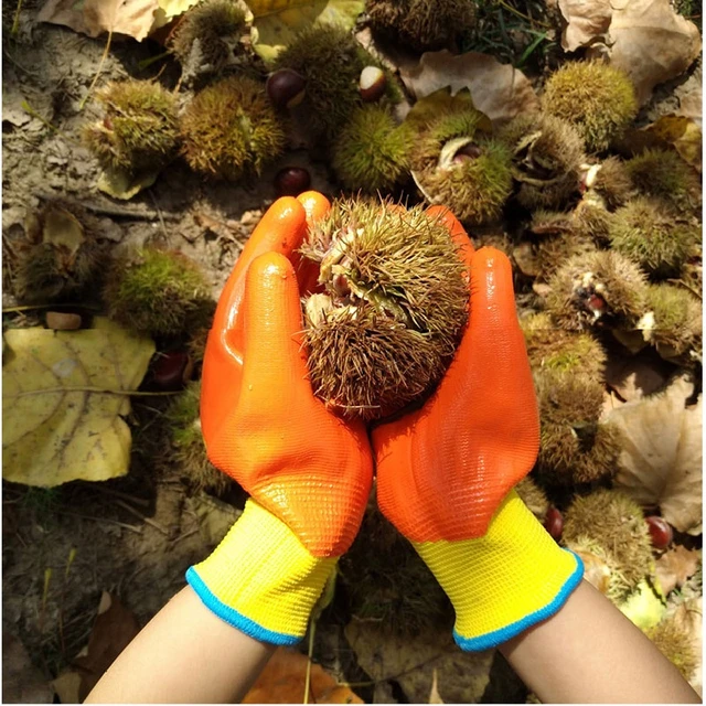 Guantes de jardinería transpirables para niños, resistentes al aceite,  antideslizantes, resistentes a las puñaladas, duraderos e impermeables, S y  L - AliExpress