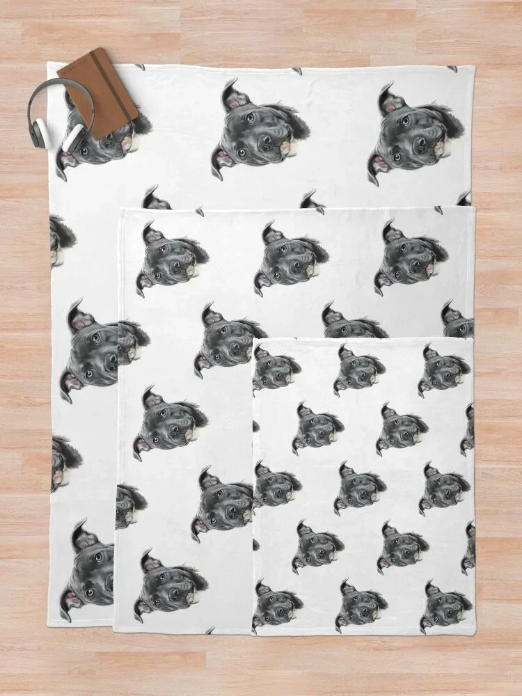 �Ķ��� ������ ������ ��� ��� ����, ���� �ʴ��� ������ ���