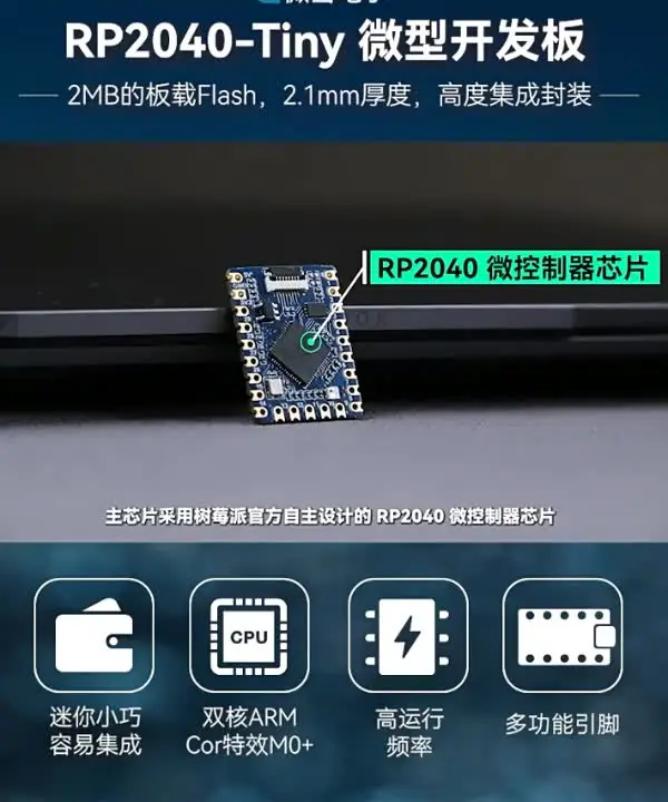 Buy RP2040-Pi Zero Development Board, Based On The Raspberry Pi RP2040 Dual-core Processor, 264KB SRAM And 16MB Flash Memory Online In India at