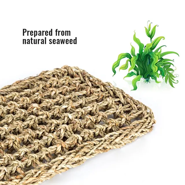 Reptile Hammock Terrarium Decoration For Lizard Lounger Small Hermit Crabs Geckos Bed Birds Reptile Mats Pets Supplies 4