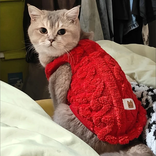 Autumn Winter Pet Cat Clothes Warm Fleece Sweatshirt Apparel For Small Medium Dogs Cats Costume Cozy Soft Kitten Puppy Clothing 4