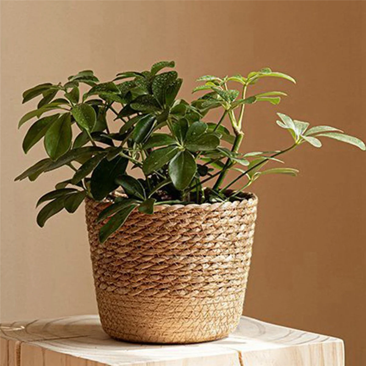 BAAU 2X Straw Weaving Flower Plant Pot Wicker Basket Rattan Flowerpot Storage Basket Handmade Woven Planter M