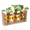 Retro Glass Plant Propagation Station with Wooden Frame – Heart-Shaped Hydroponic Vase for Indoor Plants, Desk & Home Decor 4