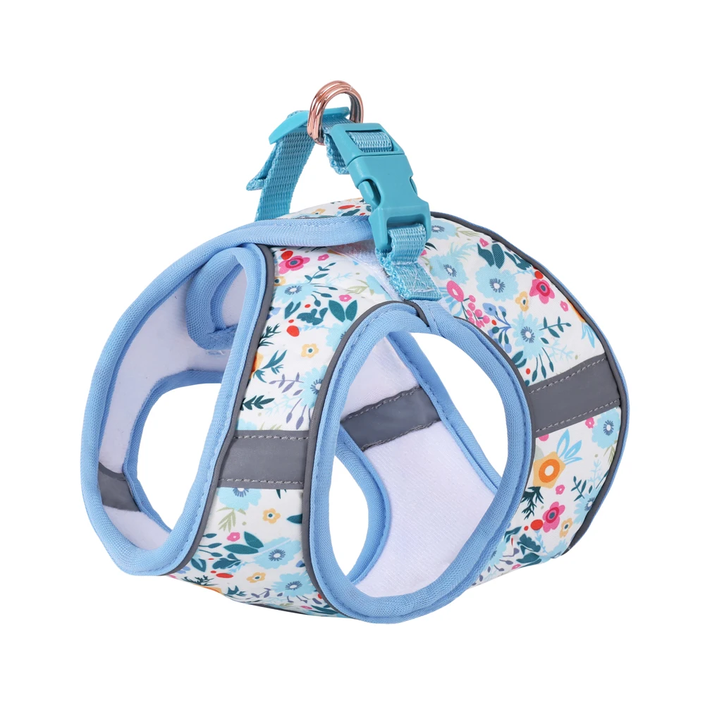 Blue harness