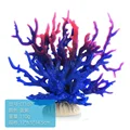 Blue purple