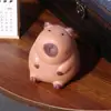 New Cartoon Lovely Capybara Kawaii Soft Adhesive TPR Slow Rebound Toy Creative Pinch Children Decompression Pinch Toys 2