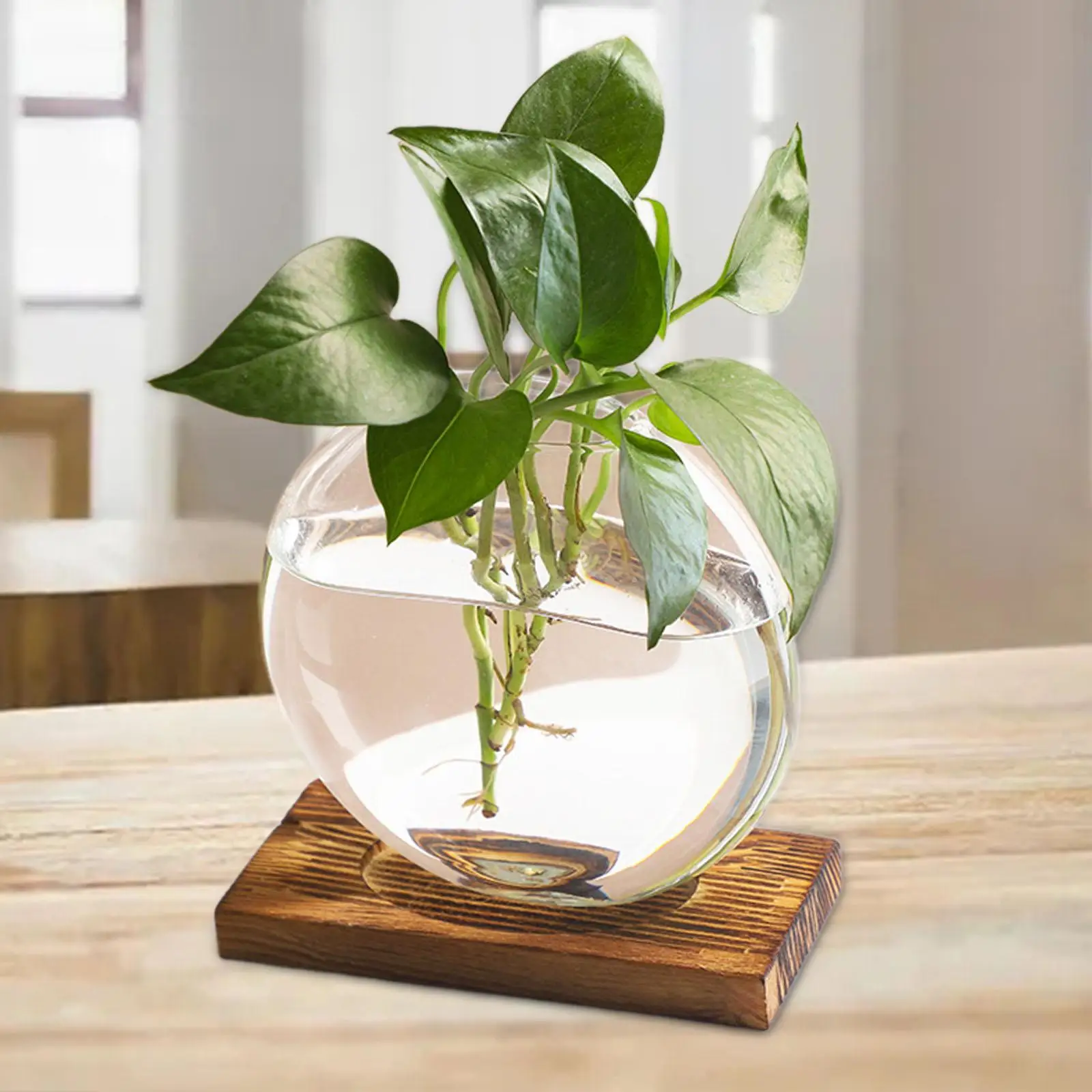 Plants Propagation Station Farmhouse Glass Planter Terrarium Flower Vase for Office Bedroom Indoor Plants Gardening Housewarming