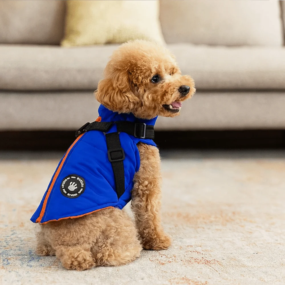 방수 조절 가능한 강아지 다운 옷 두꺼운 따뜻한 강아지 코트 방풍 하네스 포함 강아지 재킷 겨울용