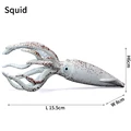 Squid