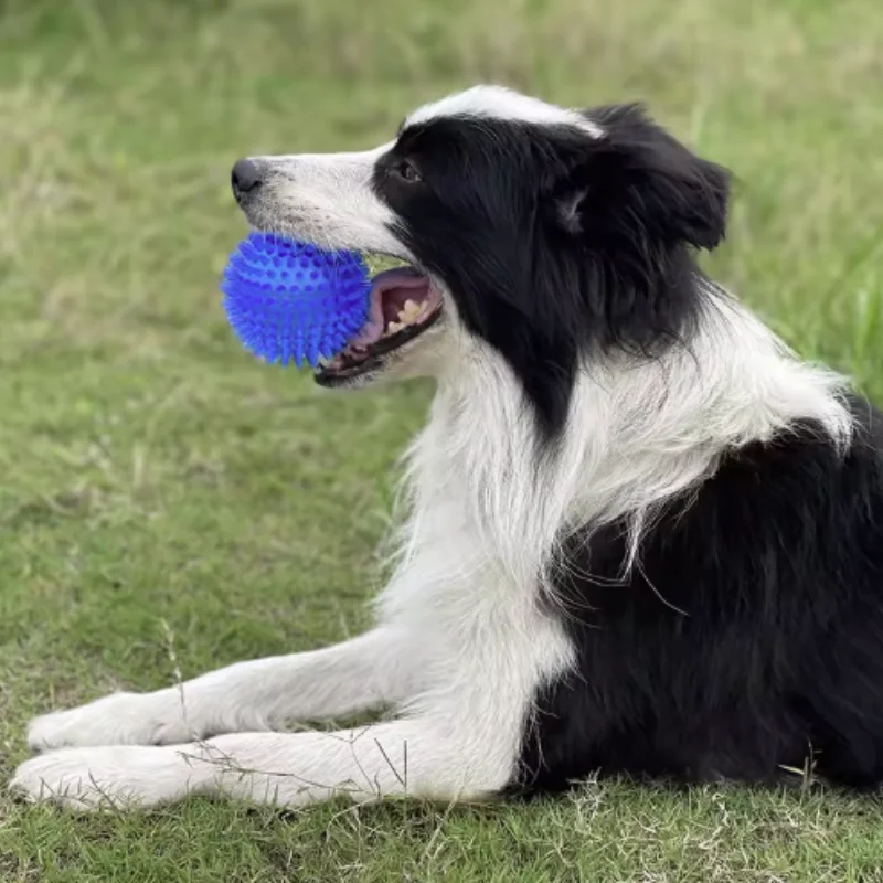 Sounding Chew Ball For Dogs And Cats Tooth Cleaning Training Toy_voghion.com