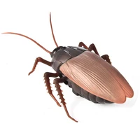 cockroach