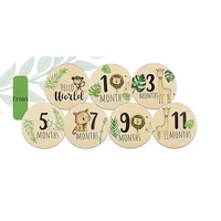 7PCS Newborn Photography Props Wooden Monthly Milestone Cards Baby Shower Gifts for Boys and Girls Photography Accessories 6