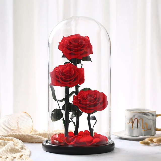 3 Eternal Roses In Glass Cover Preserved Fresh Rose Real Roses Big Rose  Valentine's Day Gift