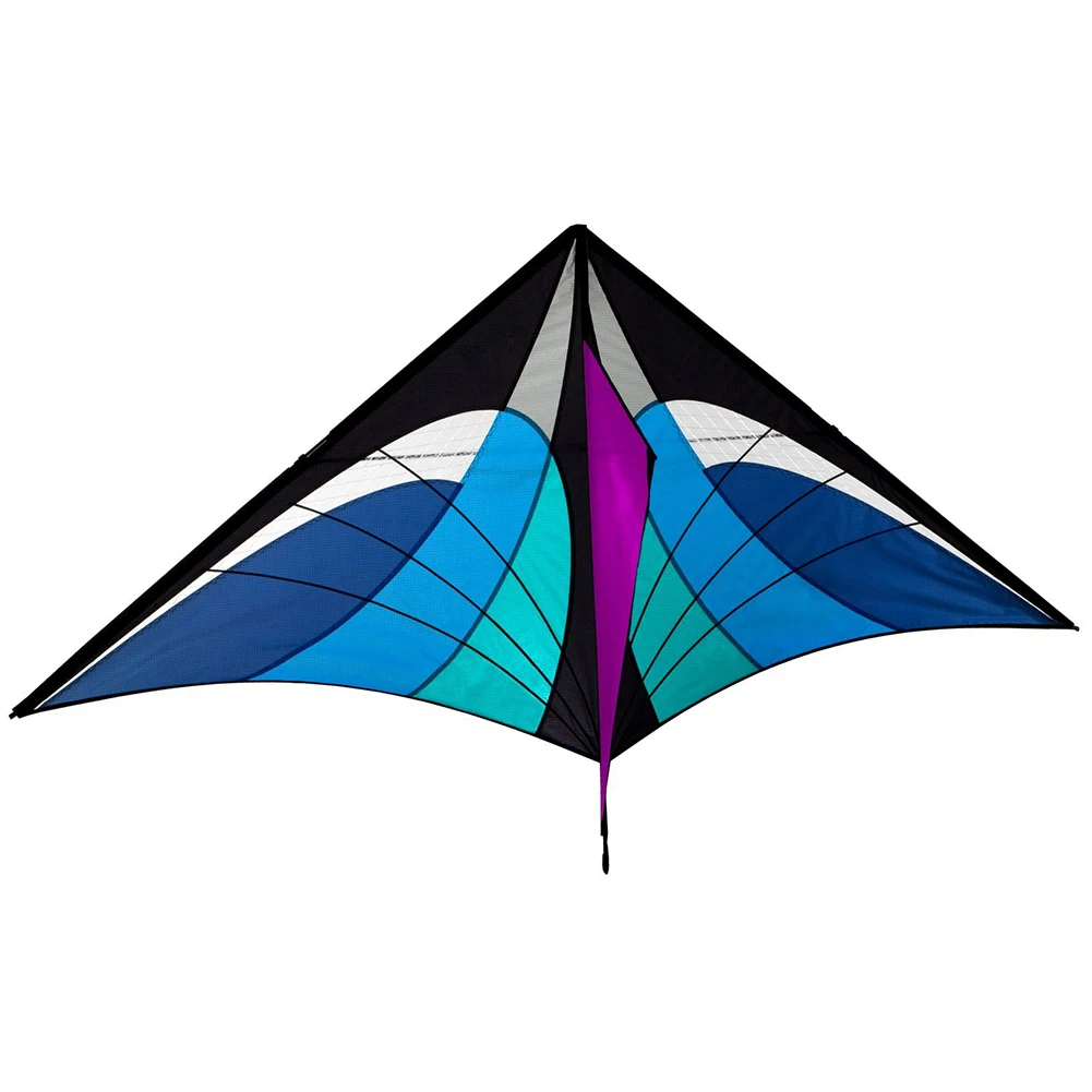 Details about   48" Learn To Fly Dragon Sport Kite 